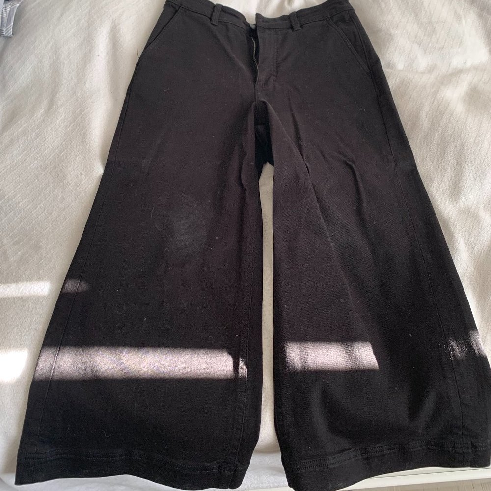 Everlane The Wide-Leg Crop Pant (Size 8 US)
